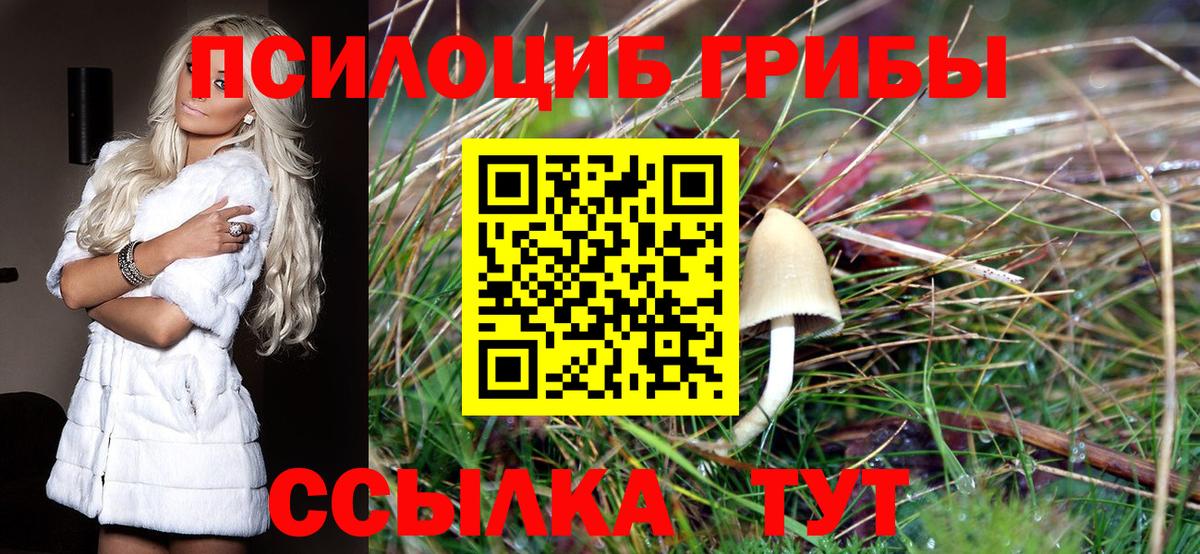 Галлюциногенные грибы Psilocybe  Вход с VPN  Новороссийск 