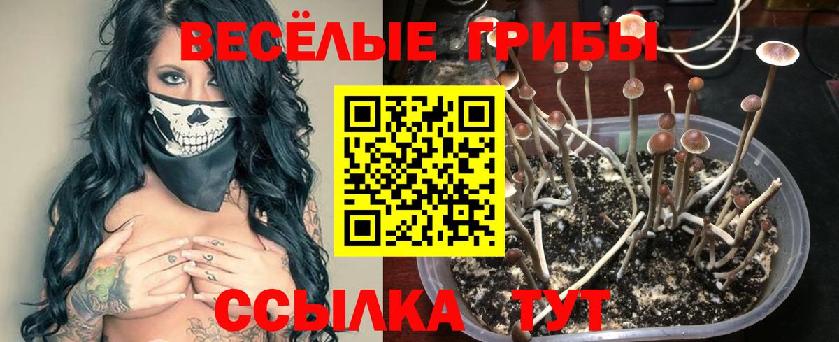 Псилоцибиновые грибы мухоморы Новороссийск