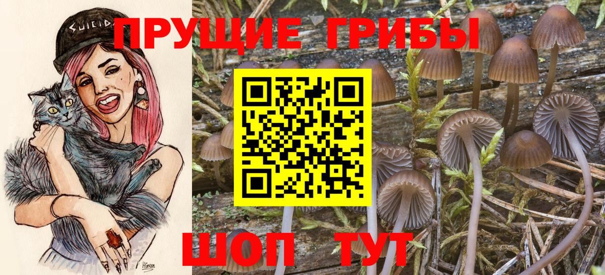 КЕТАМИН Новороссийск